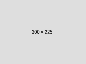 A^300*225